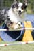 _CP_3884