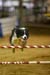 _CP_9919