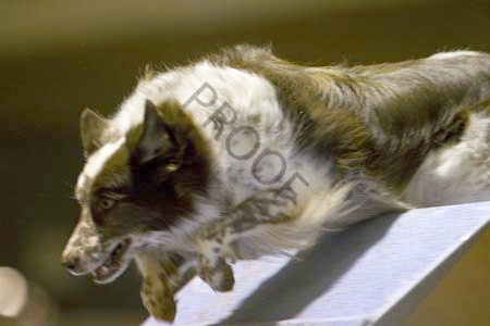 _CP_9708