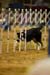 _CP_0025