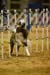 _CP_9999