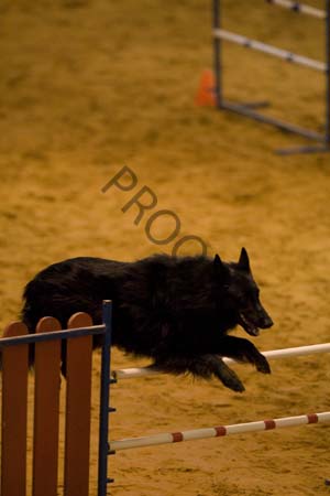 _CP_0745