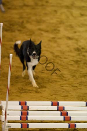 _CP_0752