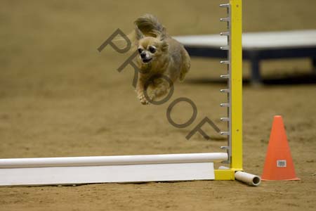 _CP_1056