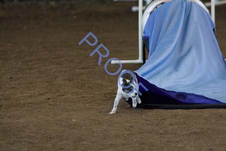 FCP_4478