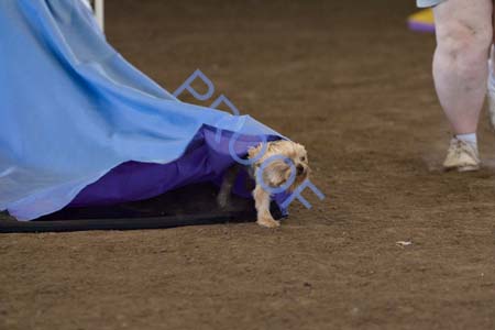 FCP_4496
