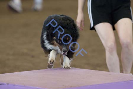 FCP_4512