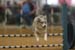079- 227