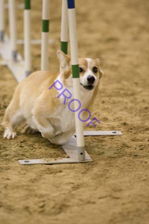 _CP_0067