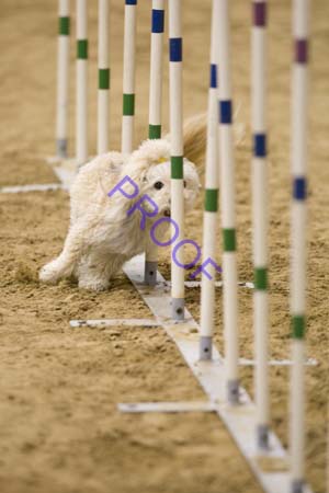 _CP_0147