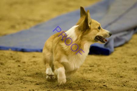 _CP_0194