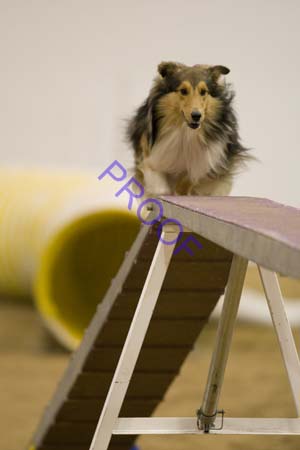 _CP_0326