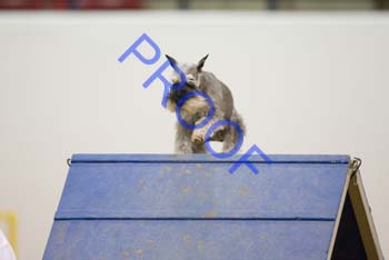 _CP_1112