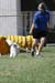 216- 087