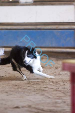 FCP_5042