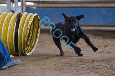 FCP_5086