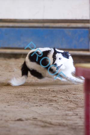 FCP_5093