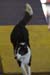 FCP_5040