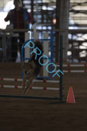 FCP_4812