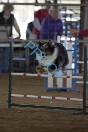 FCP_4848