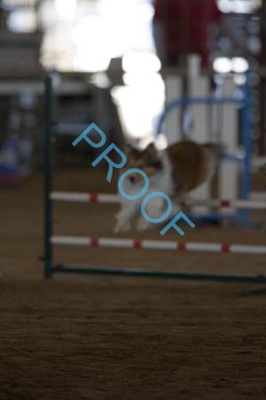 FCP_4872