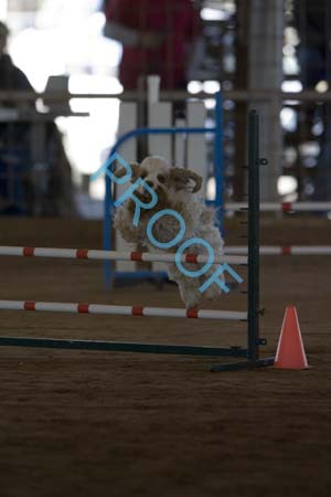 FCP_4876