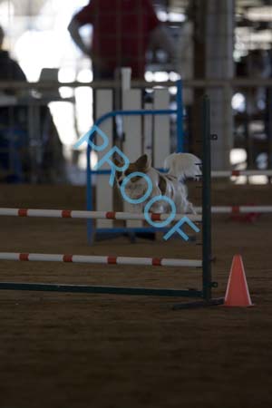 FCP_4884