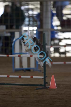 FCP_4892