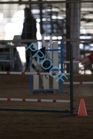 FCP_4902
