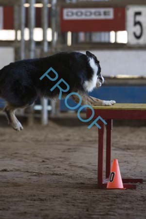 FCP_4917
