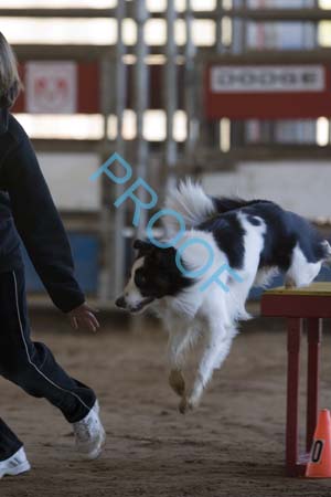 FCP_4941