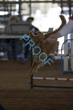 FCP_4944