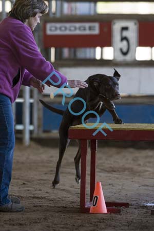 FCP_4965
