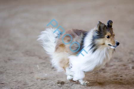 FCP_5902