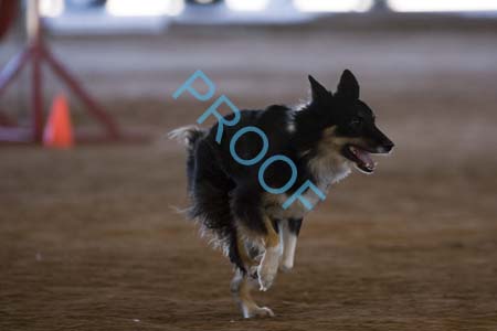 FCP_5973