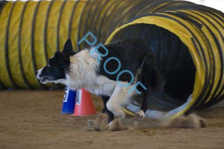 FCP_5996