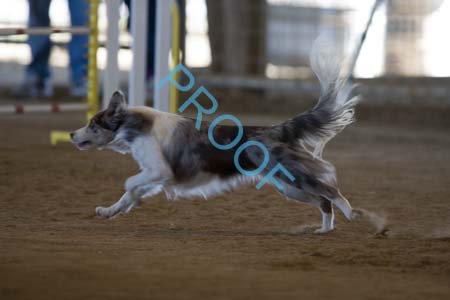 FCP_6011