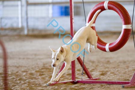 FCP_6022