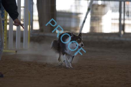 FCP_6035