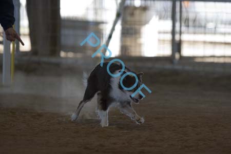 FCP_6036