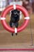 FCP_5470