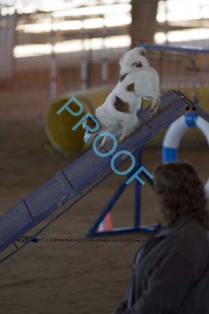 FCP_6282
