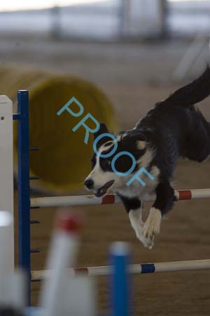 FCP_6374