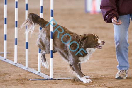 FCP_6420