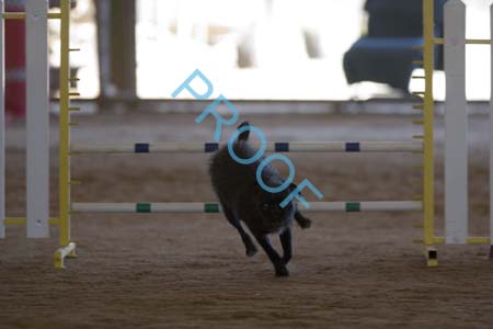 FCP_6457