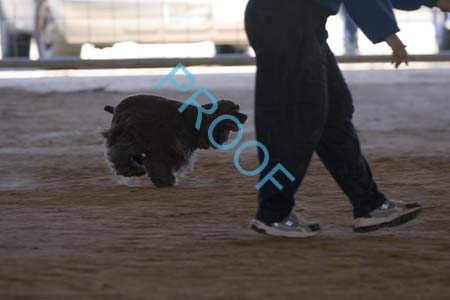 FCP_6476