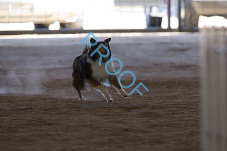 FCP_6484