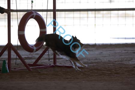 FCP_6486