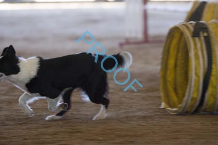 FCP_6515