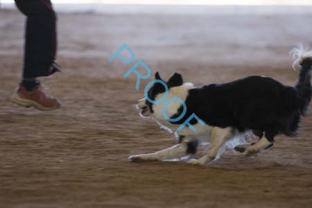 FCP_6520